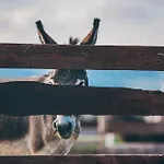 Farm stay Nad Lakami Klodzko