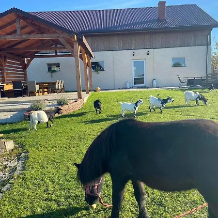 Nad łąkami *
