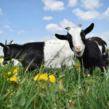 Gospodarstwo agroturystyczne Nad łąkami Kłodzko