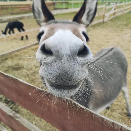 Nad Lakami Feriegård *