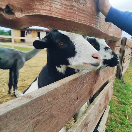Gospodarstwo agroturystyczne Nad łąkami Kłodzko
