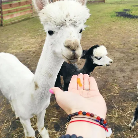 Nad Lakami Lantgård Kłodzko