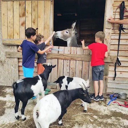 Nad łąkami Gospodarstwo agroturystyczne