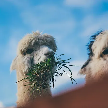 Nad Lakami Feriegård *