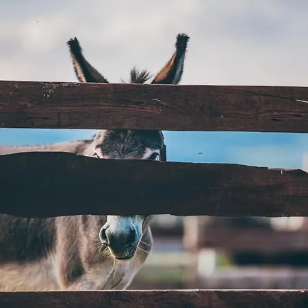 Feriegård Nad Lakami Kłodzko