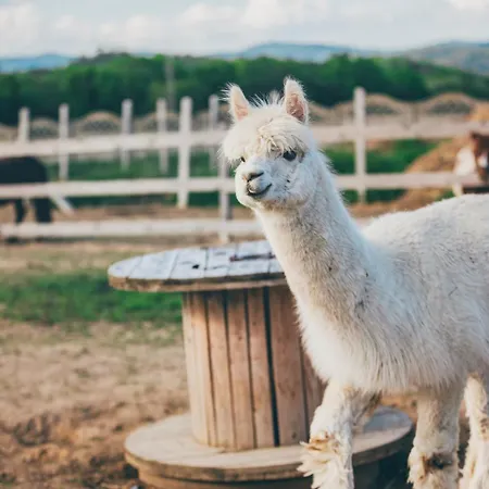 Nad Lakami Feriegård *