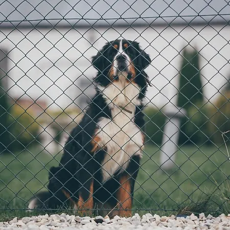 Nad Lakami * Kłodzko