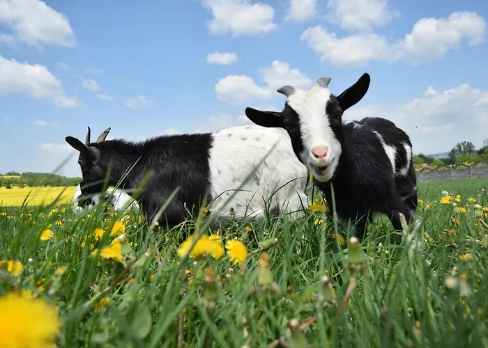 Feriegård Nad Lakami Kłodzko