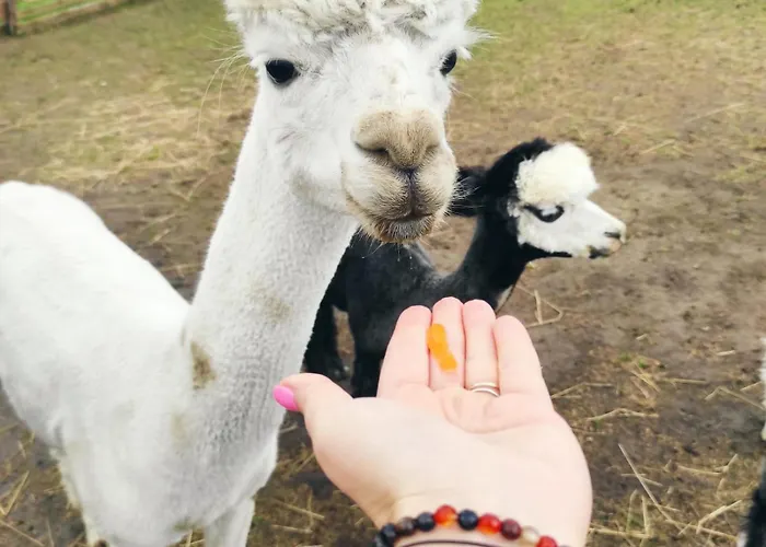 Nad Lakami Feriegård Kłodzko