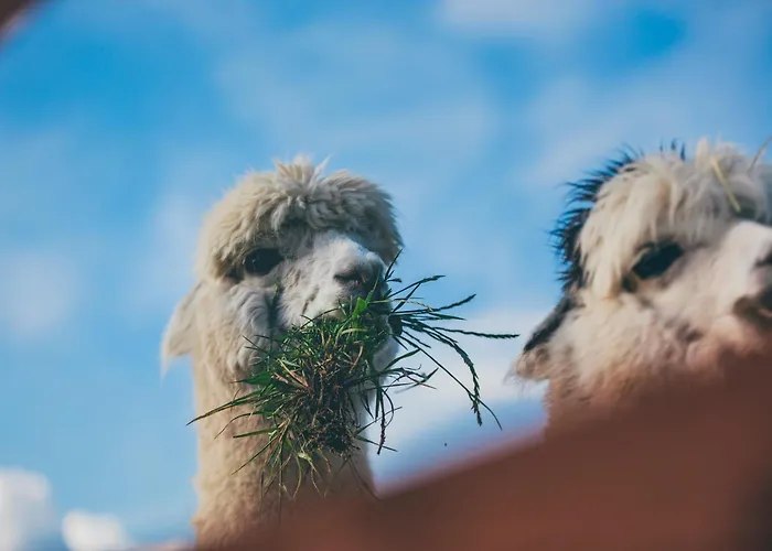 Nad Lakami Feriegård *