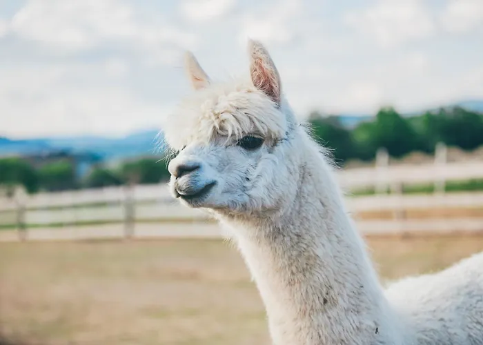 Feriegård Nad Lakami