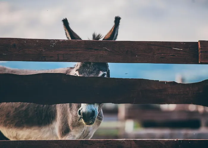 Feriegård Nad Lakami Kłodzko