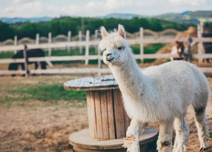 Nad Lakami Feriegård *