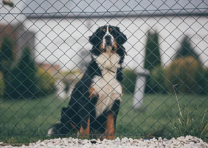 Nad Lakami * Kłodzko